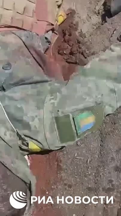 ������� � ����������� ������ ������� �� ������ ��� ������������ � ��� ��������