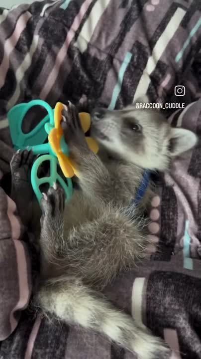 ������ ����, ������! �������� ��� ��� � ��������� ����������!