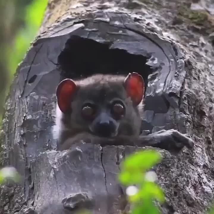 ������ ��� ������������� ����� ������� � ������ �� ���������� �����, ��� ���� ����������� �� ���� ������������ � ������������ ���������� �����