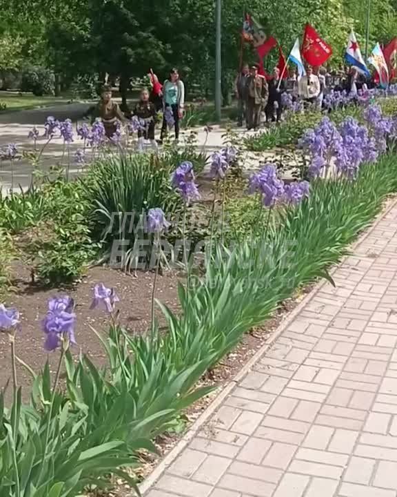 ������ ��������� �������� ������� �������� ������ � ������ ����� �� ������������� �������