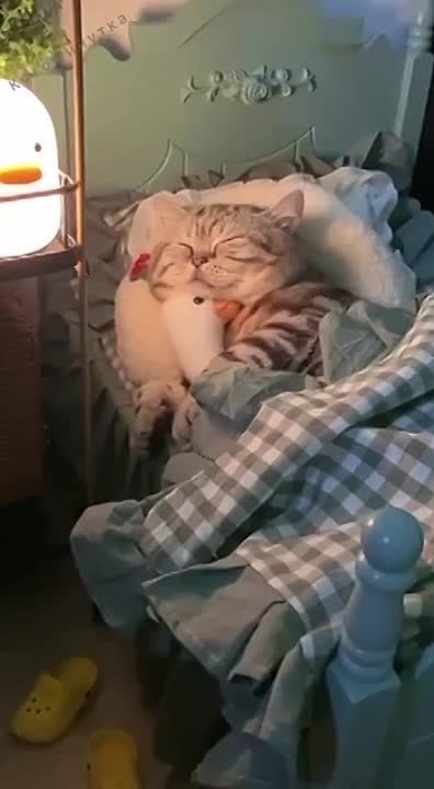 ��������� ����, ������� ������!