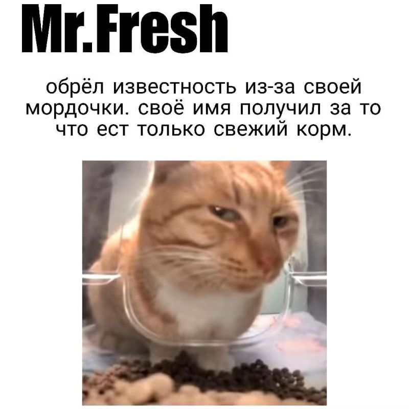 ������ ������ ���������