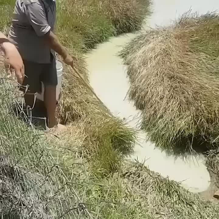 ������ ���� ��������� ������ ����� ������