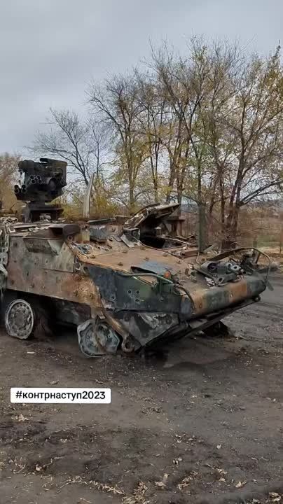  :        M1126 Stryker &quot;&quot;