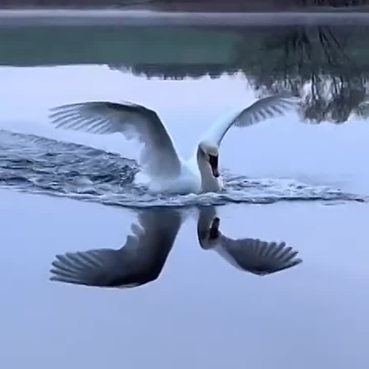 ������ �������. �������������� ��