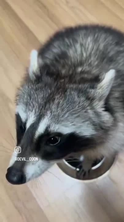 ������ ����, ������! �������� ��� ��� � ��������� ����������!