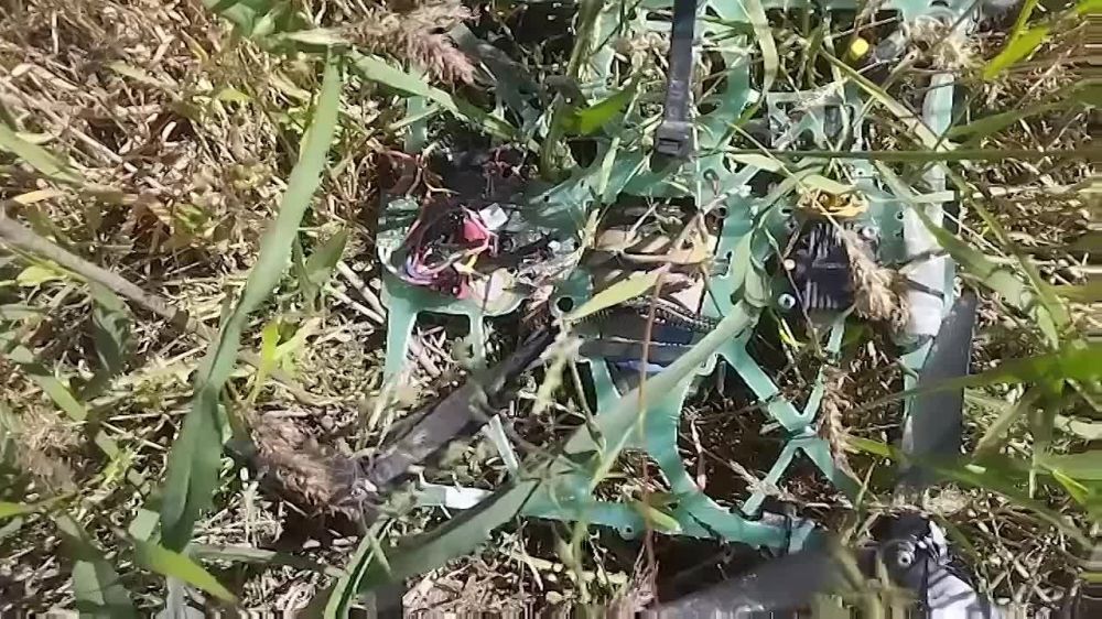 �� ����������� ����������� � ����� ������ ������� fpv-���� ���������� � �� ����������