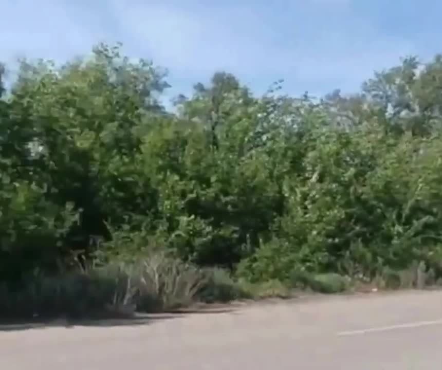 ���� ��������� ������� ���� �� ������� � ������� ���