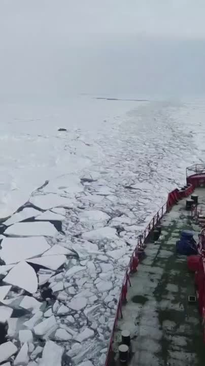 ��������� ������ ������� � ���������� ����, ��� ����� � ����� �����