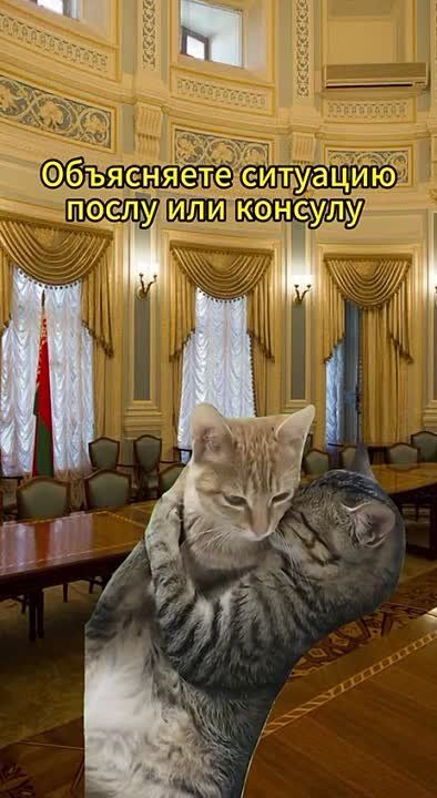 ������ ���������� ������� �� ����������� ������� � ��������