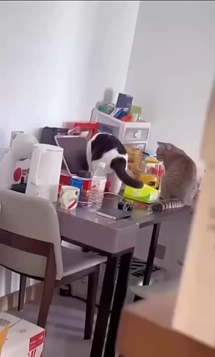 ������ ����!