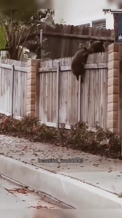 ������� ������ �� ������ ������ ������� �������� � ����������