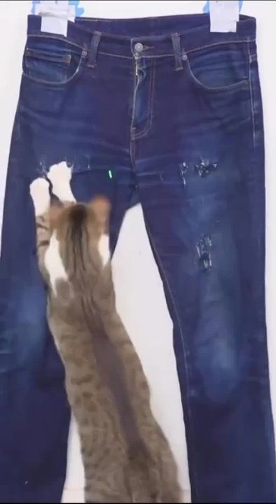 ����������� ��� ��� �� ����� ���� ������ ������ � �������