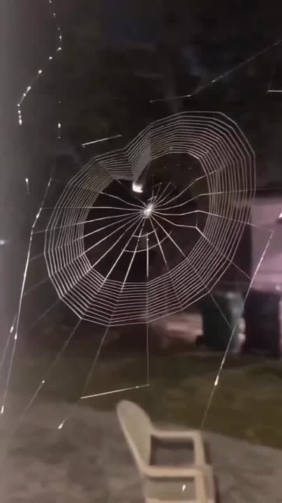 �����, ����������� ����� ��� ��������� �������, ������� �� ������ ��������, ������� ��� �����, ������ � ��������� �������