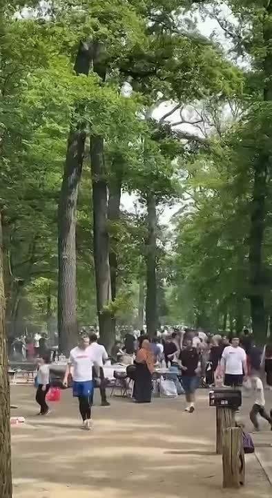 � ����� ��������� ���������� �������� ����� ��������