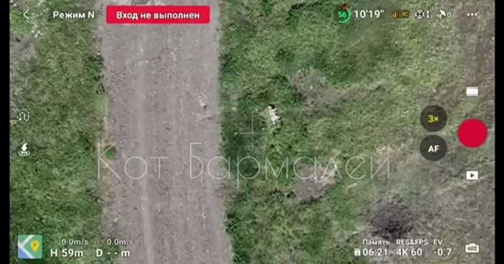 �������� 42-� ����������� ������� ������ ��������� ������� � �������� ����������� ������ � ���� �����