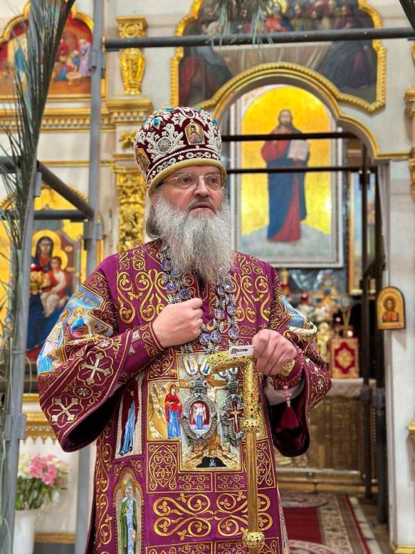 ����� ���������: ���������� ����������� ���� � �������� ������� ��������� �������