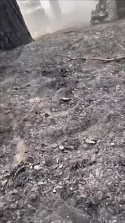 �������� �����: ��������� ������ ���! ������������ ��*��!
