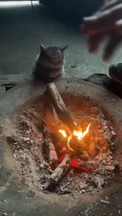 ��������� ����, ������� ������!