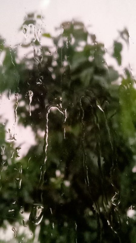 ������� ���� , ������� ������������!