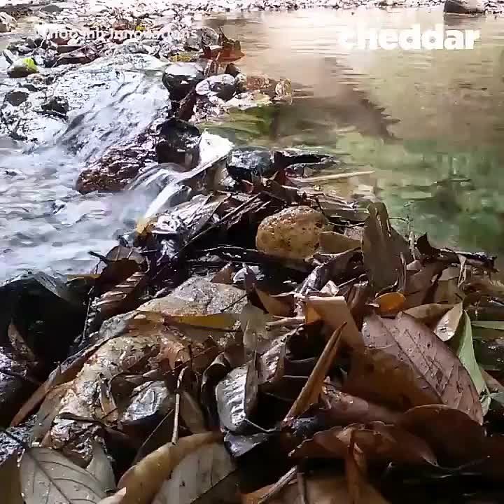 � ��� ���� ���� ���� ���������