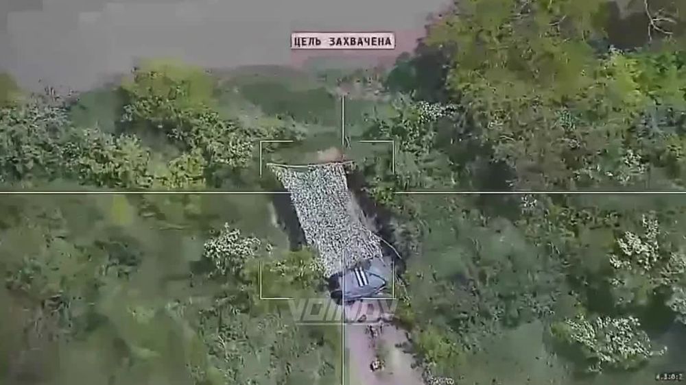 ����� �����: ��������� ���� ��������� ���� �������� 35 ����� ���������� �� ���������� ��� �� ����������� �����������