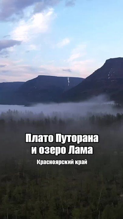 ����� �������� � ����� ����
