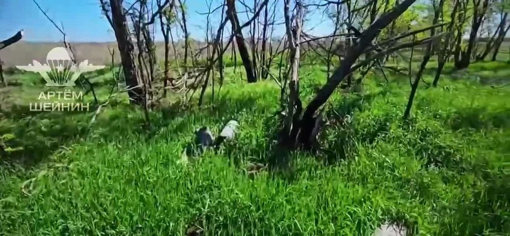 ���� ������: ����������� �������.. ����� �������� ����