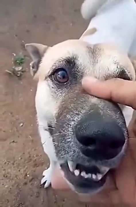 ������� ��� ����� ������, ���� �� ��� ���� ������