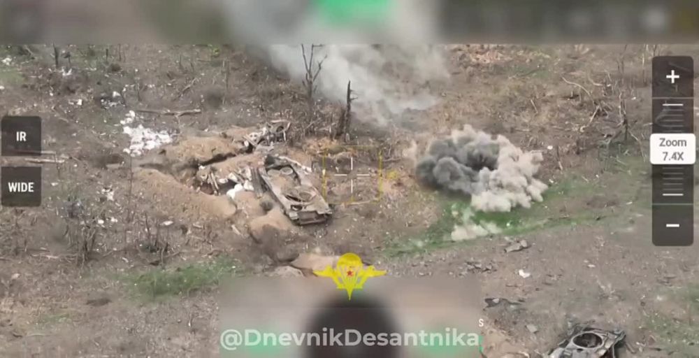 ����� �����: ����������� �����������