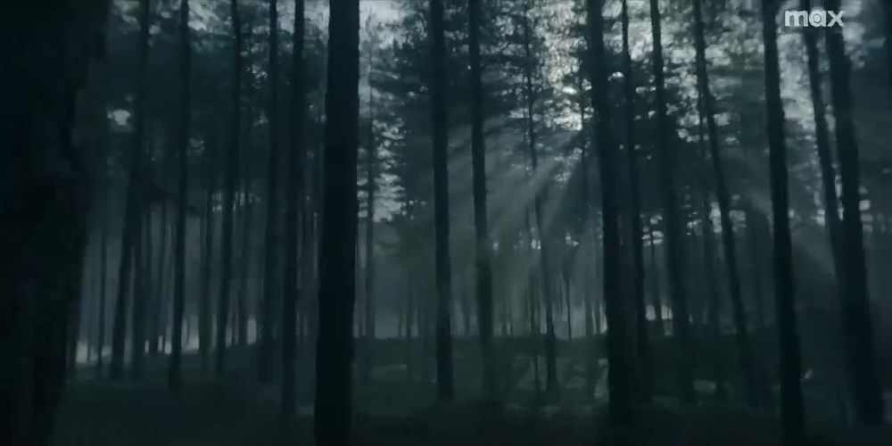 � ������� ������ "���� ��������" ����� ����������� �������