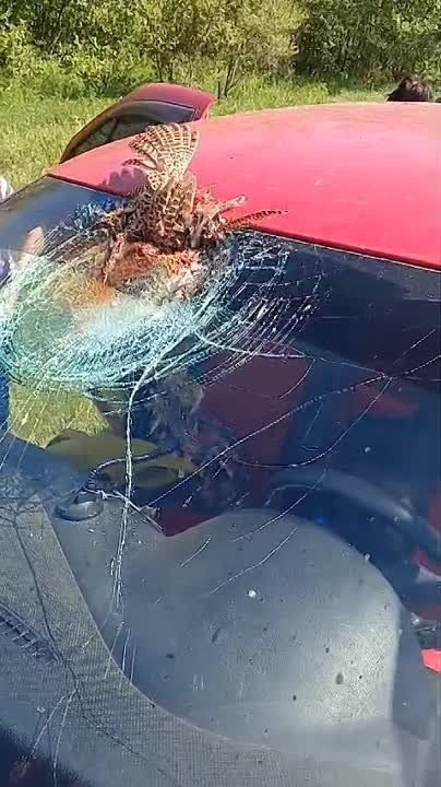 ����� �������� ���������� ����� � ������������� �������