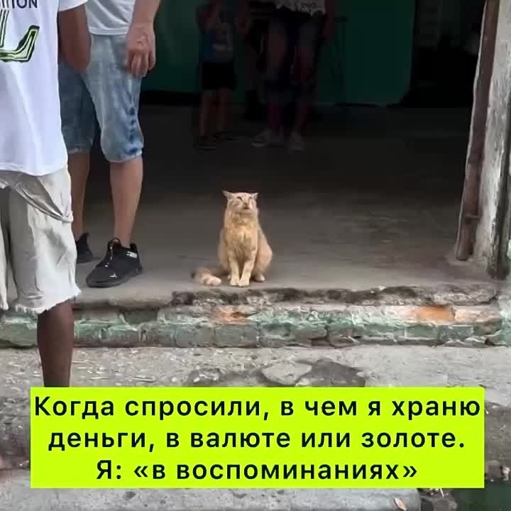 ���������� ����� �4:. ������� ���������� ����� � ������ �����������, ��������� ��������� ��������������. ����� � ������ �������������� �������� �� �� ��������� � ������� ��������