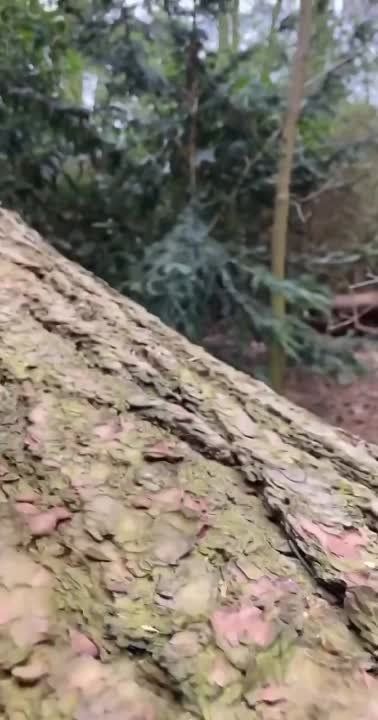������ ����, ������!. ����� �����������! �������������� ��