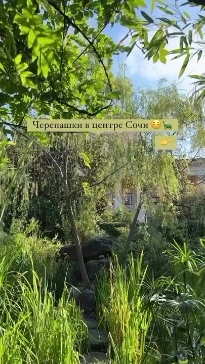 �������� ���� ���� � ��������� � ����� ������ ����!