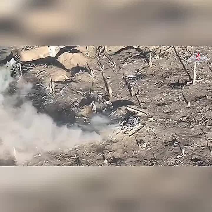 ��� ���� ���������� � FPV-����� ���������� ������� ����������� � ��������