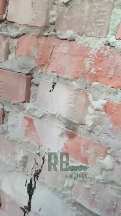 ����� ��������� �������� �� ������� ���� ������������� ����������� "�����" �������� ���������