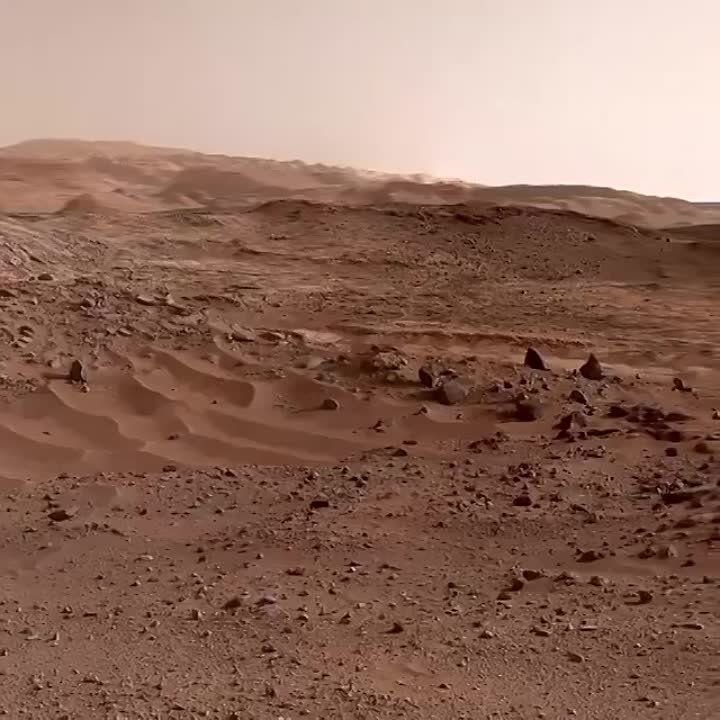 ���� �� ������� �������