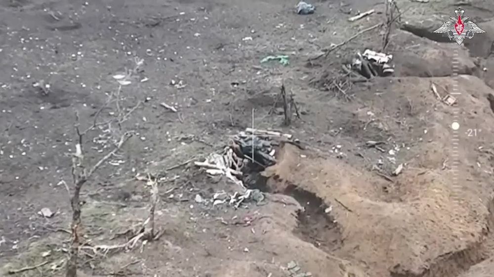 ������� FPV-������ ��������� ������� ������ ���������� �� ����������� �����������