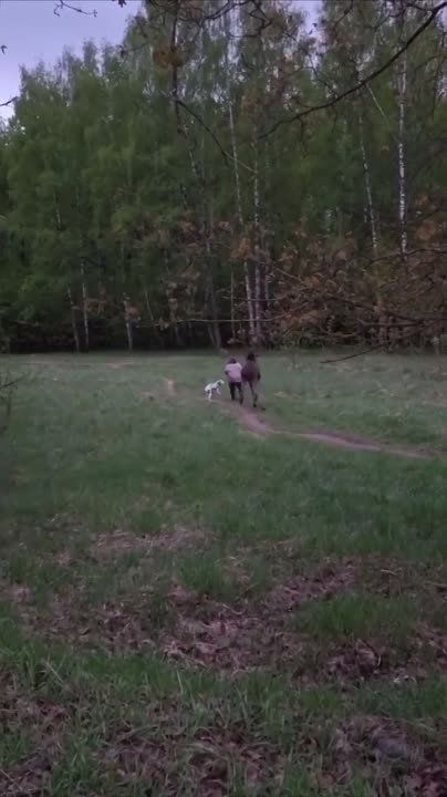 ���� �������� ������ � ������ ��������� �������� ��� ��������
