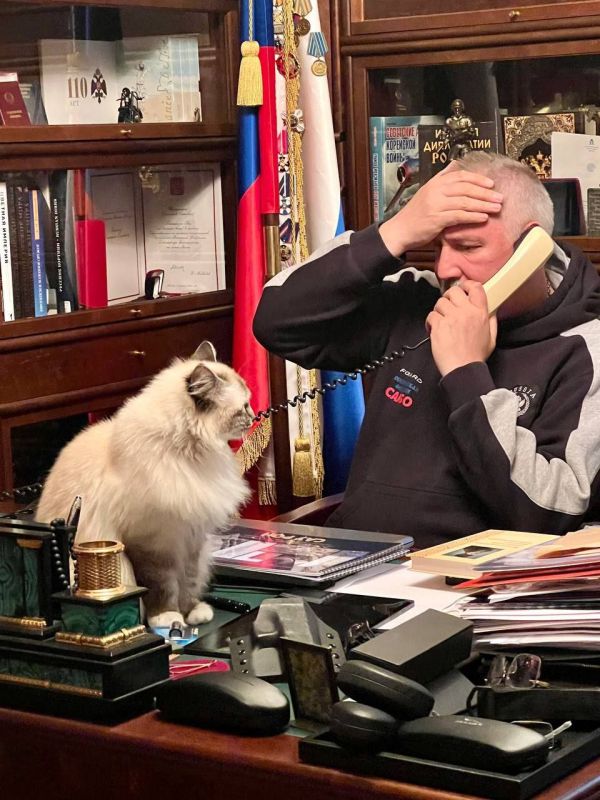 ������� �������: ������������ � ������ ������ �����������