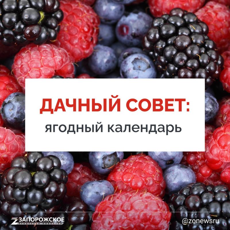 ��� ����� ������� ����� ����� �������, ��� � ������� ������