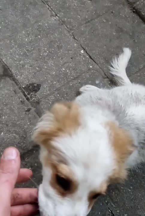 ��� ����� ����� ���� ���� � ����� ������ � ������������ �����������