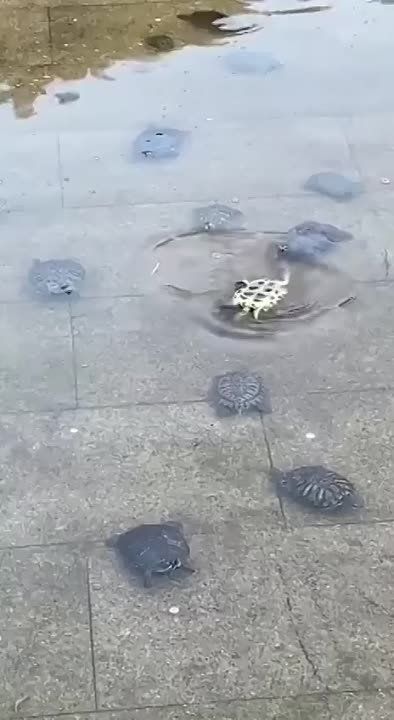 ������ ���� !
