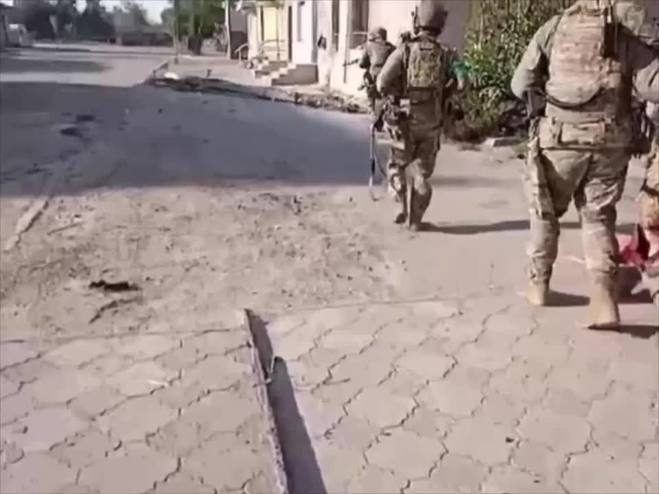 ����� ������� ��� � ��������� �� ���� ���, ������� �������� ������� ����� � ������ ��������� ����� �����