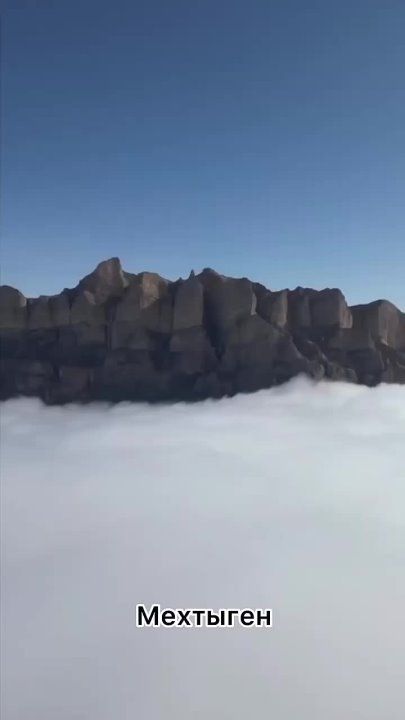 ���� ������� � �������� �������� �������