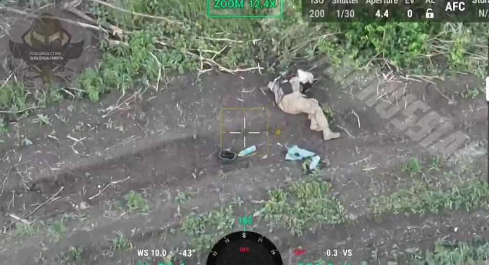 ���������� ���������� �������� � ����������� ��������� ���� ���������