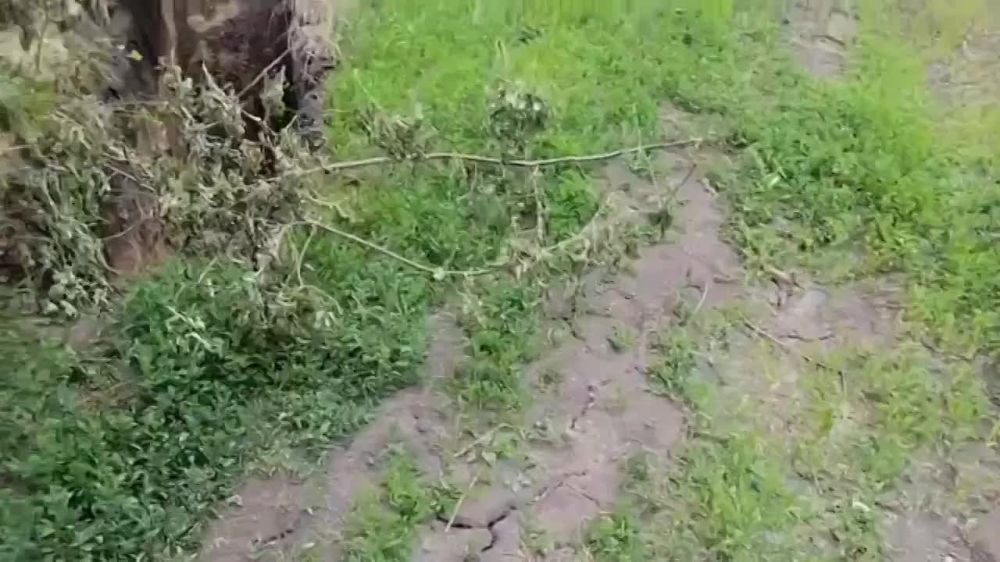 "���� �� ��������, ����"