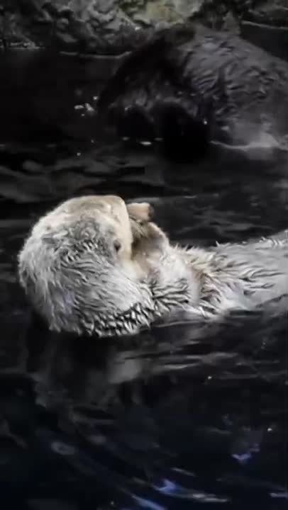 ��������� ����� ������� � ������ � �����, �� � ����������� ����������� ������� ��� ������������ ��������� ����, � ������ ����� � �����