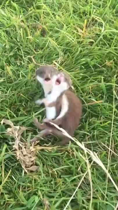 ����� ������ ��������� ����� ������